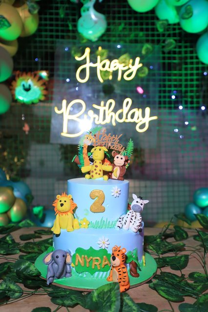 birthday decorators preetvihar delhi 11feb2022 v6